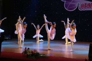 專業攝影攝像服務，定格新會最美瞬間